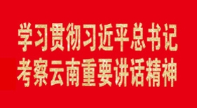 学习贯彻习近平总书记考察云南重要讲话精神