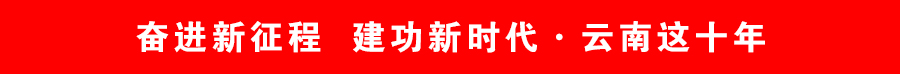 奋进新征程  建功新时代 · 云南这十年