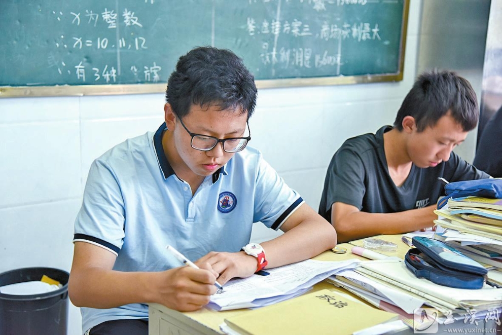 认真学习中的张倬冉（左）。