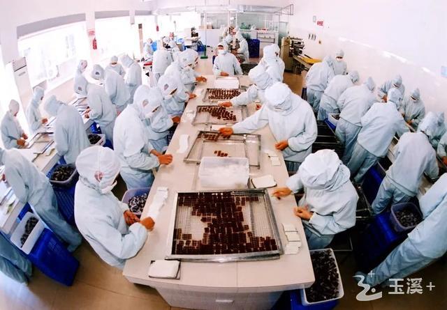 猫哆哩产品生产线。资料图 潘泉摄.jpg