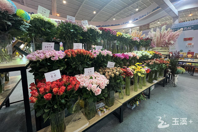 云南“十大名品”展区.jpg