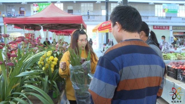 新平年味视频2.JPG