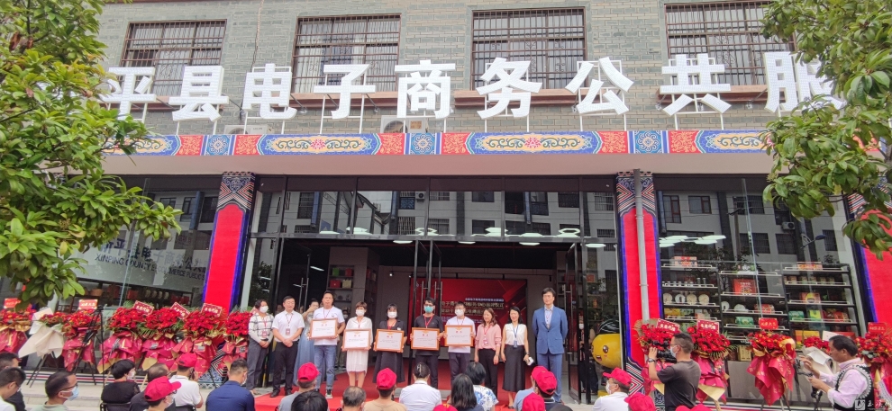 新平电子商务公共服务中心成立仪式