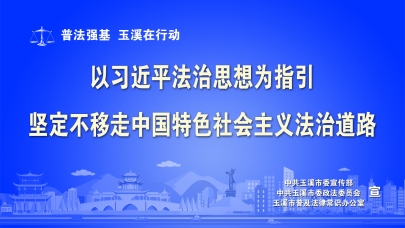 以习近平法治思想为指引，坚定不移走中国特色社会主义法治道路