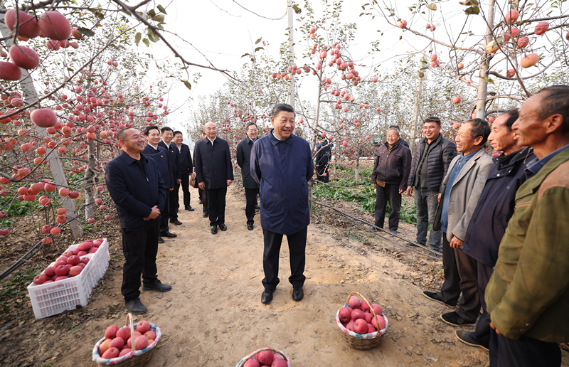 2022年10月26日，习近平总书记在陕西省延安市安塞区高桥镇南沟村苹果园同老乡们亲切交流。