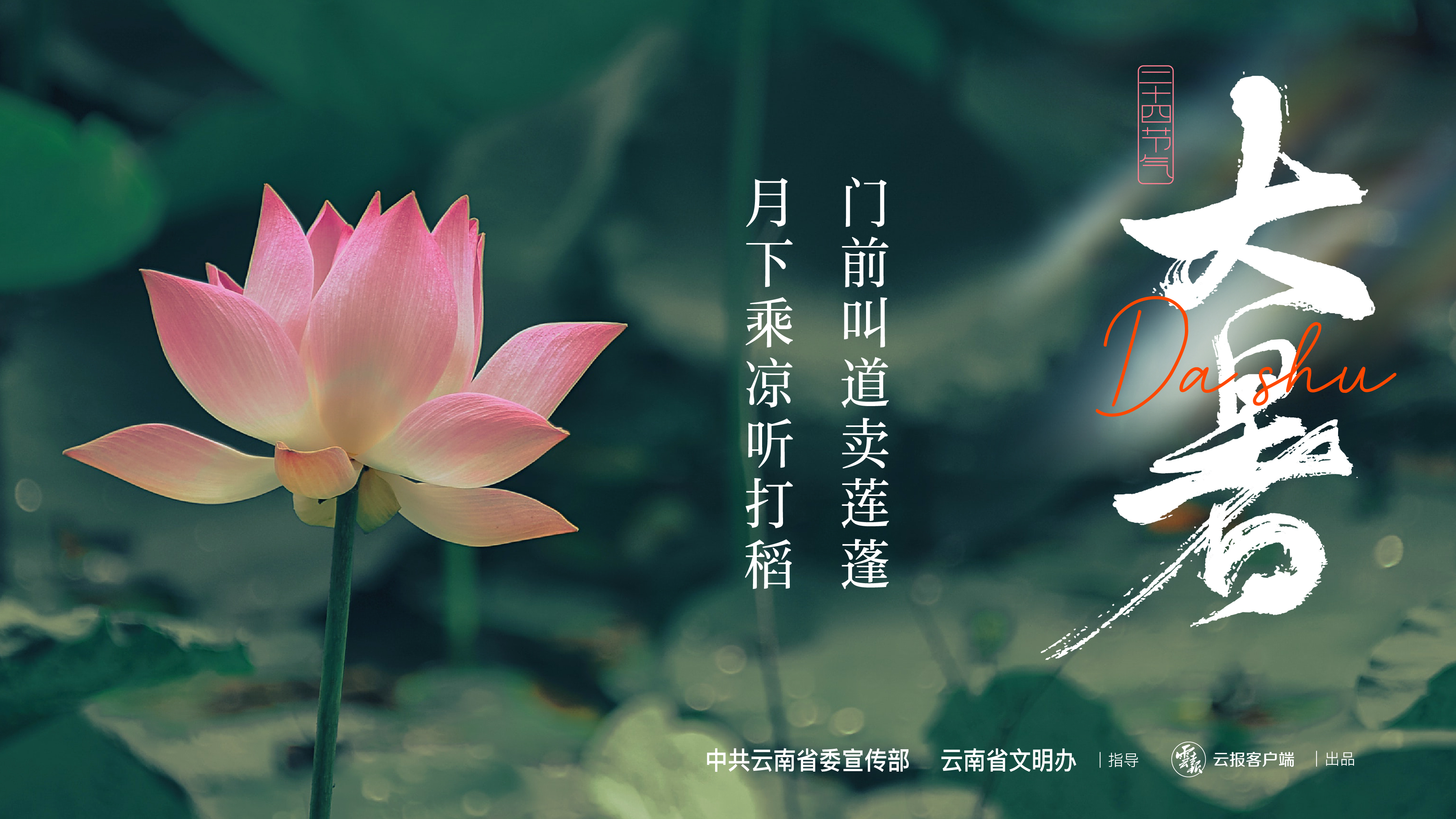 二十四节气——大暑