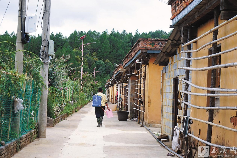 大西村戈嘎组，村庄环境干净整洁，房屋建筑极具彝家特色。