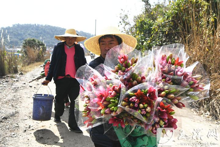 塔甸镇小草海村，村民准备到广场出售自家种的鲜花。
