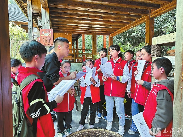 在茶园学习制茶方法。