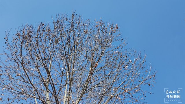 晴天16:9（头图可用）