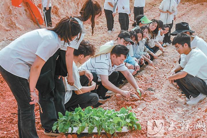 田间地头的“课堂”。（资料图片）