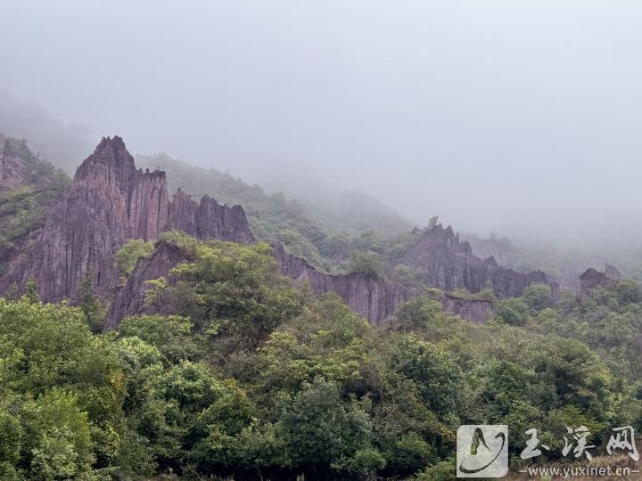 位于通海高大境内的土林巍峨壮观。