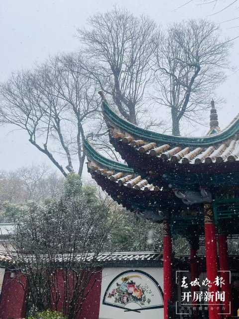 飘雪的黑龙潭.jpg