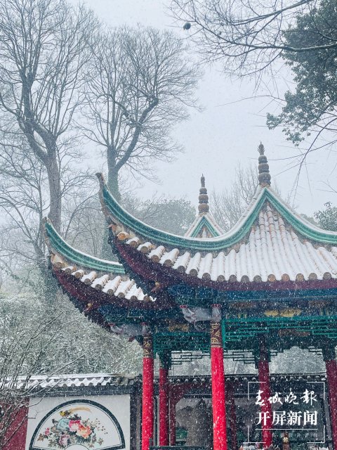 飘雪的黑龙潭3.jpg