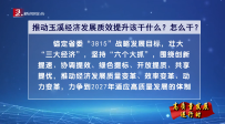 推动玉溪经济发展质效提升该干什么？怎么干？