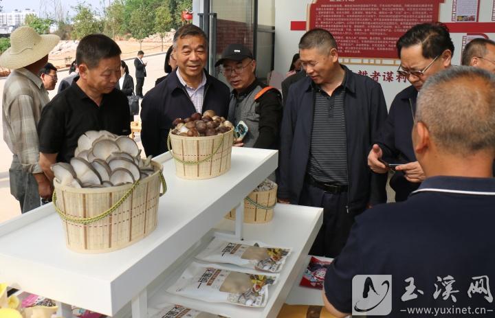参观企业产品展示区。