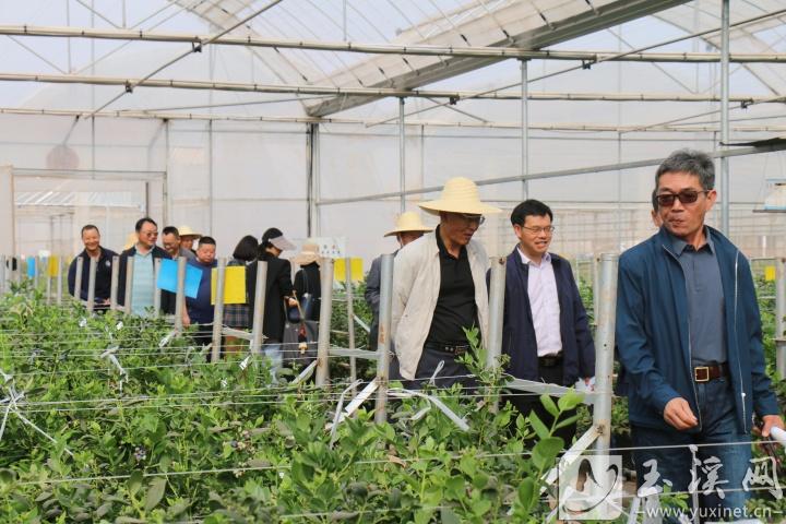 银龄教师走基层。